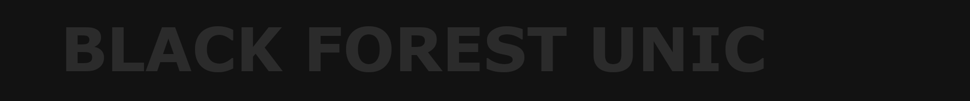 Das Bild zeigt einen dunkel gehaltenen Banner auf diesem der Firmenname "Black Forest Unic" in dunkelgrauer Farbe steht auf noch dunklerem Hintergrund. Alles in Großbuchstaben.